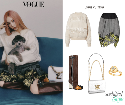 Dog Park Catwalk: How To Outfit Your Pet In Louis Vuitton, Goyard